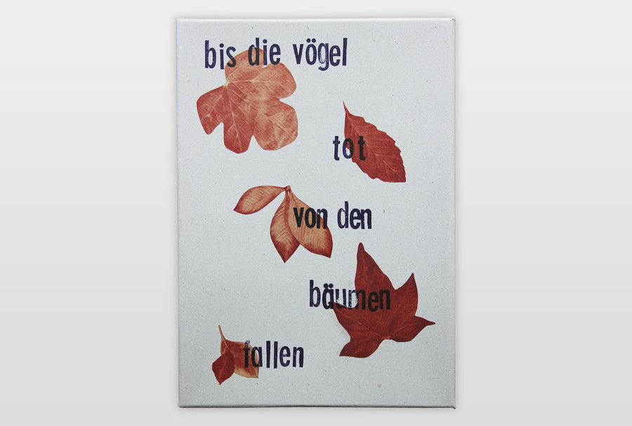 Bis die Vögel tot von den Bäumen fallen Edition, Boxenbuch mit Einzelseiten