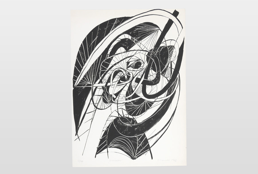 Variationen Lithografie, 67 x 51,5 cm 