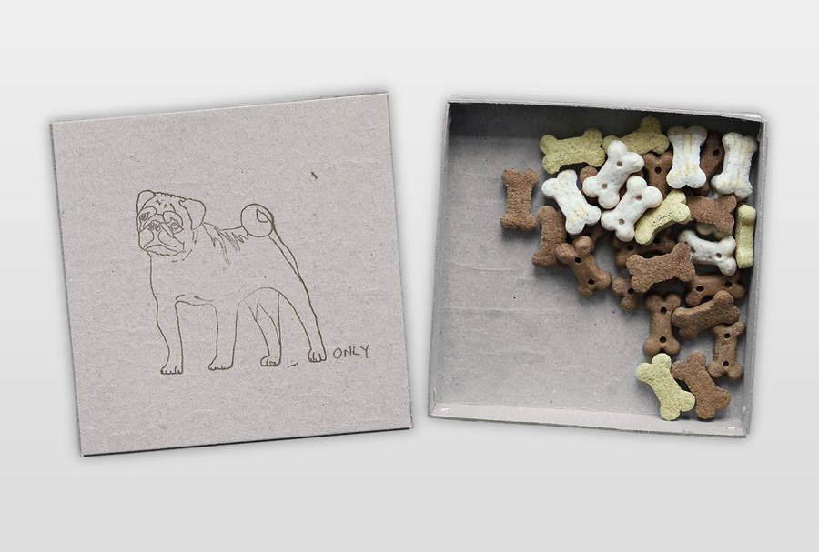 Welcome to Puggyland Bonusbox mit Hundefutter