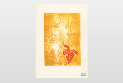 Oak Sapling (Mangél Press 2018) 42 x 30 cm, gemangelter Holzschnitt
