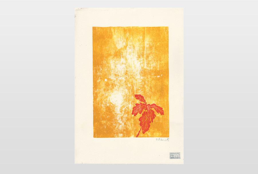 Oak Sapling (Mangél Press 2018) 42 x 30 cm, gemangelter Holzschnitt