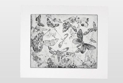 O.T (Schmetterlinge) Radierung auf Büttenpapier